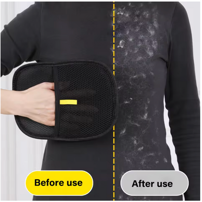 Fur-Free Home Mitt