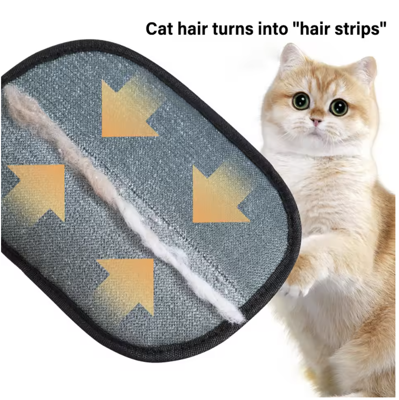 Fur-Free Home Mitt