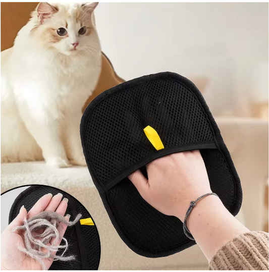 Fur-Free Home Mitt