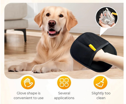 Fur-Free Home Mitt