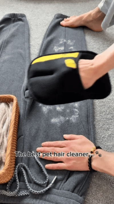 Fur-Free Home Mitt
